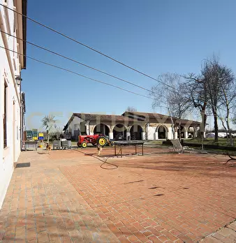Foto annuncio 19
