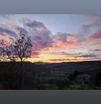 Foto annuncio 36