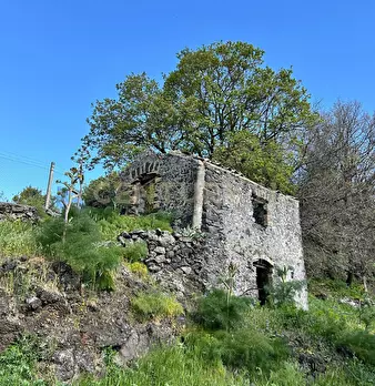 Foto annuncio 12