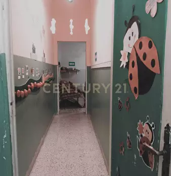 Foto annuncio 41