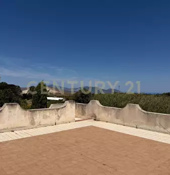 Foto annuncio 24