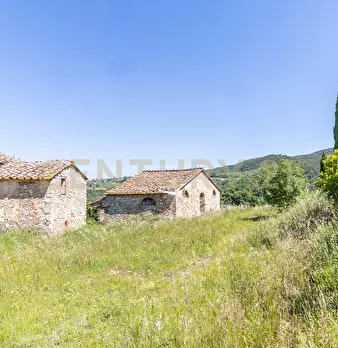 Foto annuncio 4