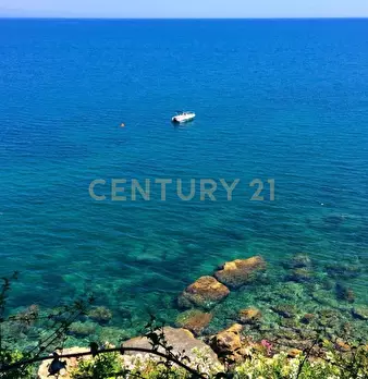 Foto annuncio 29