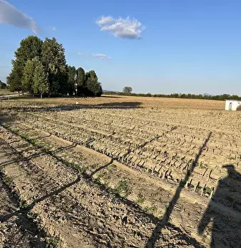 Foto annuncio 72