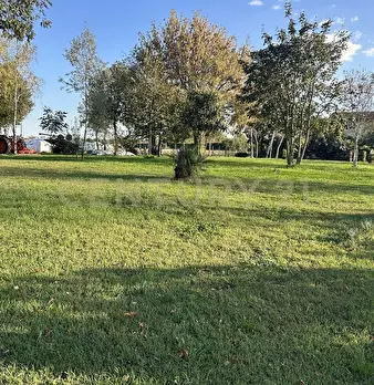 Foto annuncio 60
