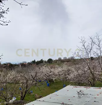 Foto annuncio 3