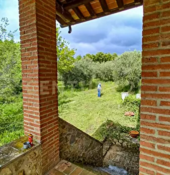 Foto annuncio 3