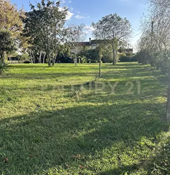 Foto annuncio 52
