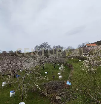 Foto annuncio 20