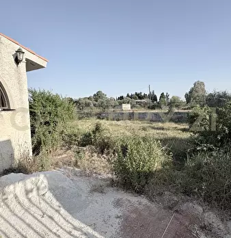 Foto annuncio 4