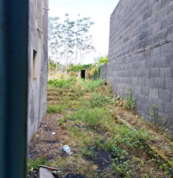 Foto annuncio 21