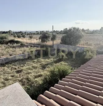 Foto annuncio 21