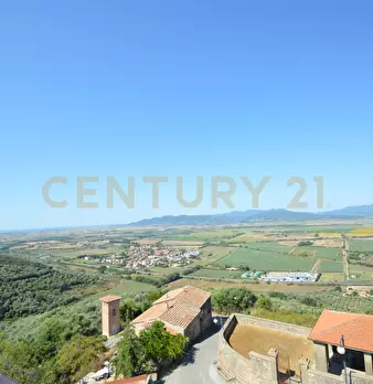 Foto annuncio 36