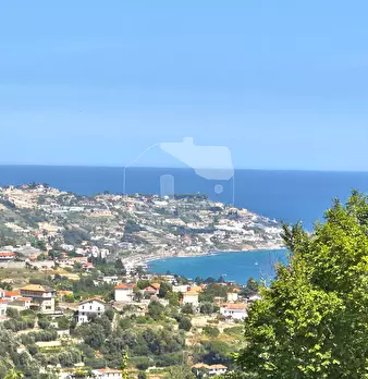 Foto annuncio 19
