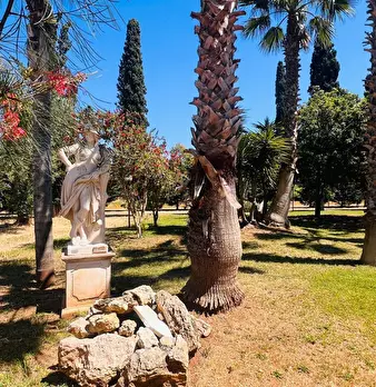 Foto annuncio 41