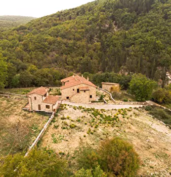 Foto annuncio 6