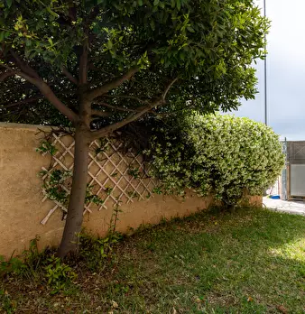 Foto annuncio 31