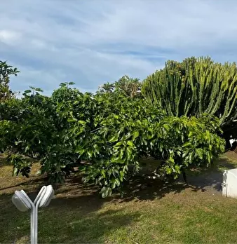 Foto annuncio 36
