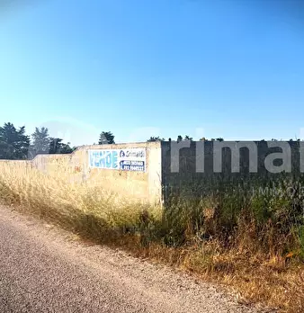 Foto annuncio 3