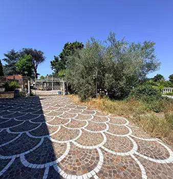 Foto annuncio 6