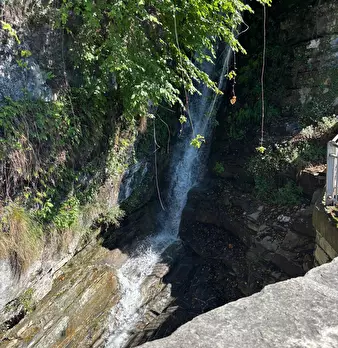 Foto annuncio 28
