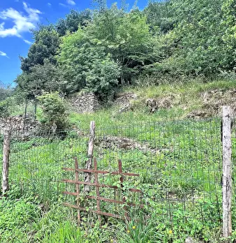 Foto annuncio 23
