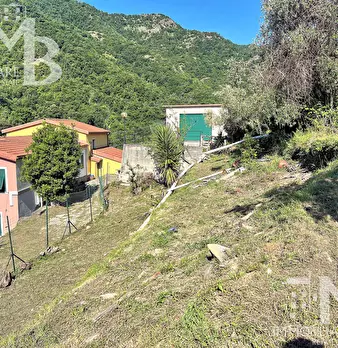 Foto annuncio 16