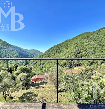 Foto annuncio 19