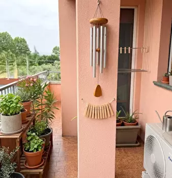 Foto annuncio 9