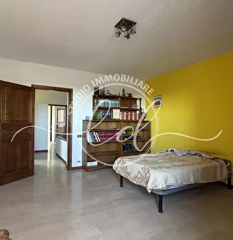 Foto annuncio 55