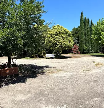 Foto annuncio 36