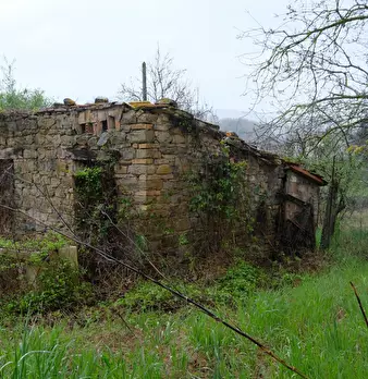 Foto annuncio 8