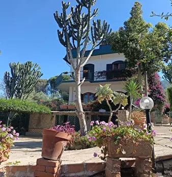 Foto annuncio 111