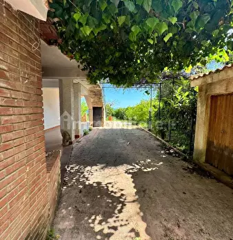 Foto annuncio 43