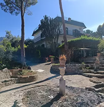 Foto annuncio 116