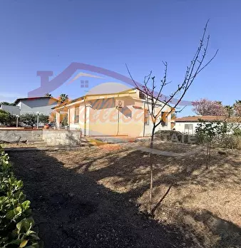 Foto annuncio 20