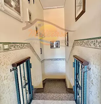Foto annuncio 12