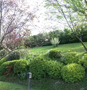 Foto annuncio 30