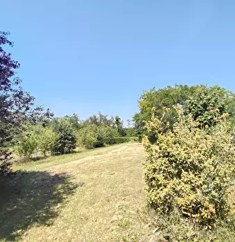 Foto annuncio 38