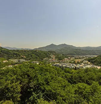 Foto annuncio 80
