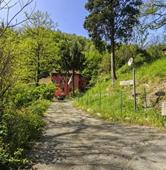 Foto annuncio 35