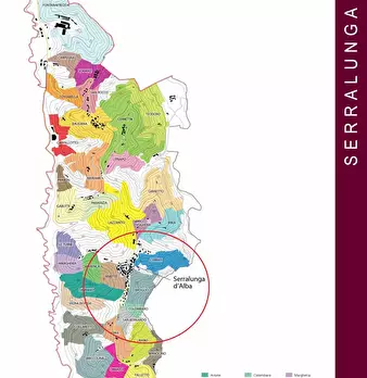 Foto annuncio 10