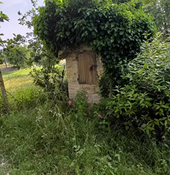 Foto annuncio 11