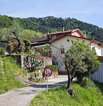 Foto annuncio 56