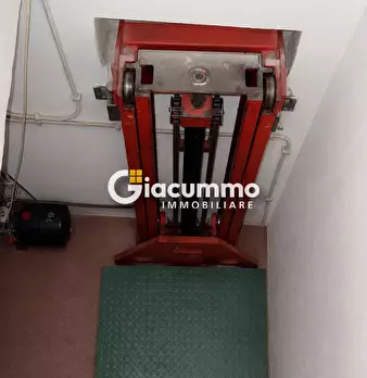 Foto annuncio 10