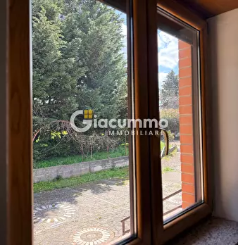 Foto annuncio 21