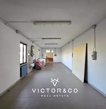 Foto annuncio 21