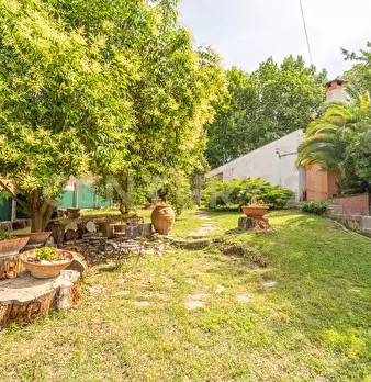 Foto annuncio 30