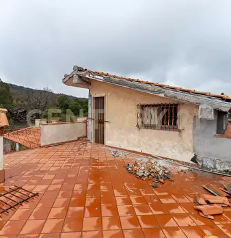 Foto annuncio 61