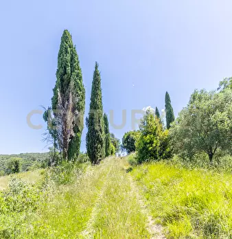 Foto annuncio 32